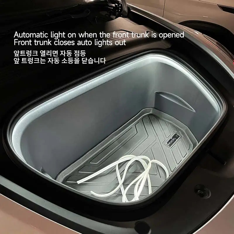 Néon coffre pour Tesla Model Y/3/S/X