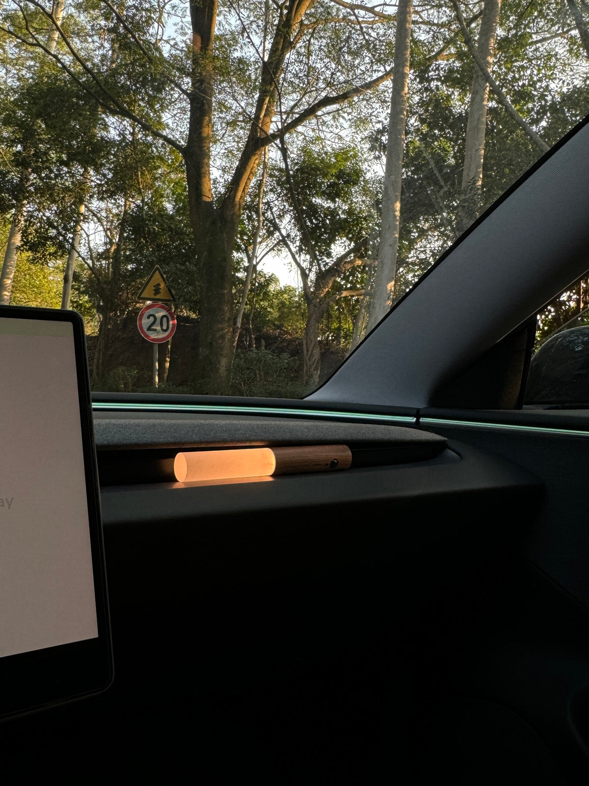 Lampe d'ambiance bois – bâton pour Tesla — photo 2