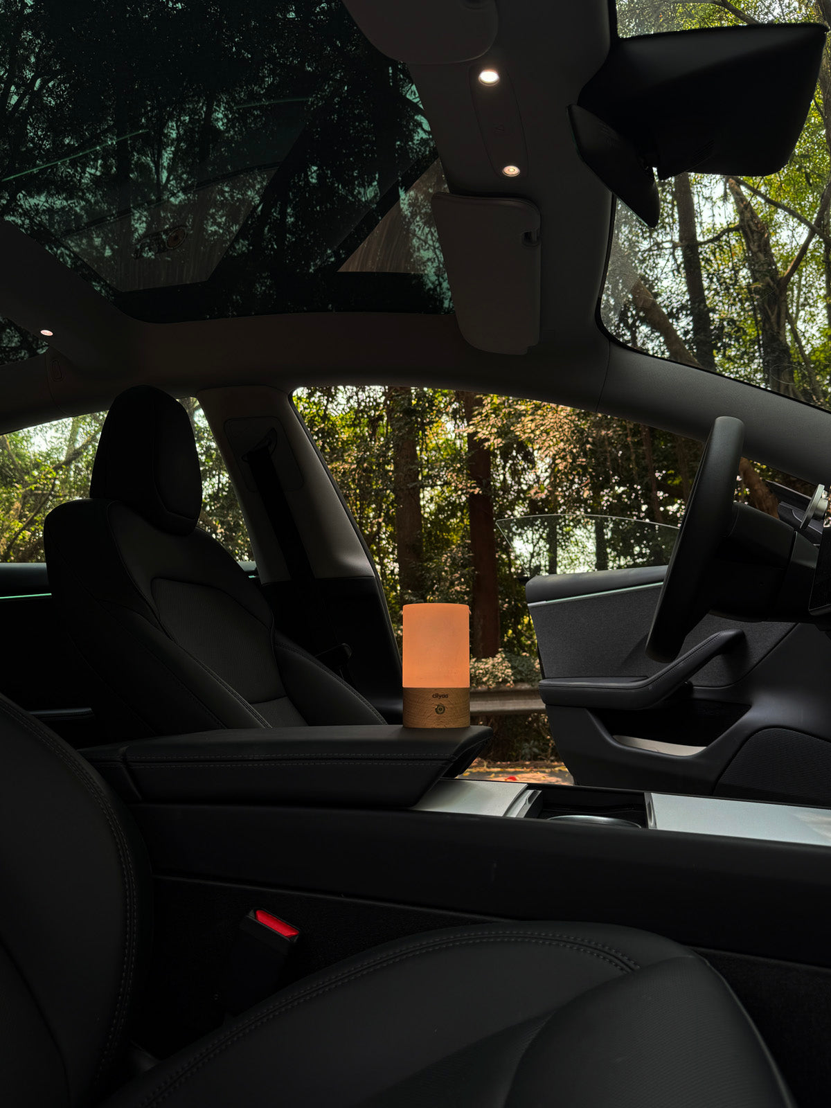 Lampe d'ambiance bois – galet pour Tesla — photo 2
