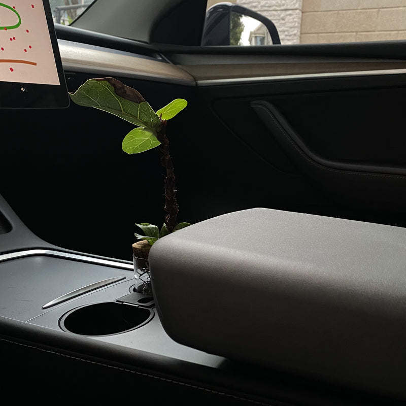 Couvre-accoudoir souple pour Tesla Model 3 et Model Y — photo 12